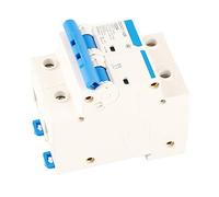 RASTKY Commutateur de Protection contre les Fuites DZ47-125 Disjoncteur Miniature 2P 400 V pour un Temps de Réponse Rapide et des Performances Fiables pour le Réseau de Distribution Basse Tension et