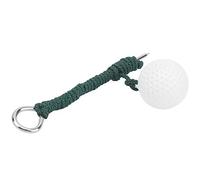 RASTKY Corde de Balançoire de Rétractable, Aide à L'entraînement en Acier Inoxydable pour des Exercices D'échauffement Rapides, Noire