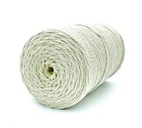 RASTKY Corde en macramé en Coton de qualité Supérieure, Vert Clair, 219 Mètres, pour Suspension Murale en macramé, Diamètre 0,1 Po