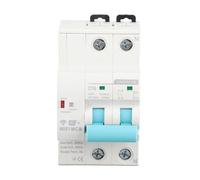 RASTKY Disjoncteur WiFi Intelligent 2P avec Commande Vocale, pour Usine Domestique, Montage sur Rail Din WiFi AC 230V (16A)