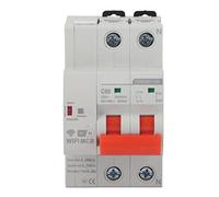 RASTKY Disjoncteur WiFi Intelligent 2P avec Commande Vocale, pour Usine Domestique, Montage sur Rail Din WiFi AC 230V (80A)