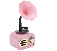 RASTKY en Haut-Parleur Portable Phonographe Vintage Rétro Haut-Parleur Multi-compatibilité Boîte de - FT-05U (Rose)