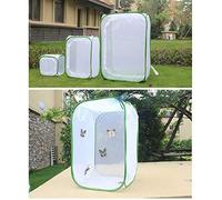 RASTKY Enceinte Pliable Durable pour Insectes, pour L'élevage de Papillons, à des Fins éducatives, 30 X 30 X 30 cm. (184)
