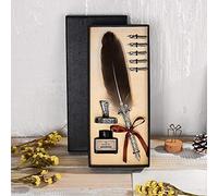 RASTKY Ensemble de Stylos à Plume Vintage, Outil D'écriture Exquis pour la Pratique de la Calligraphie, Idéal pour le Dessin et L'écriture Manuscrite, 1 Boîte D'encre, 5 Pointes de Stylo pour Cadeau