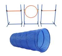 RASTKY Ensemble D'entraînement d'agilité Pliable pour Chien, équipement de Parcours d'obstacles Durable pour L'entraînement d'agilité afin de Renforcer la Confiance avec Votre Animal de Compagnie