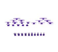 RASTKY Ensemble D'outils de Débosselage de Voiture, Kit de Débosselage Efficace pour la Réparation de Carrosserie, Outil sans Peinture pour Carrosserie de Voiture, Violet, 28 Pièces