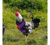 RASTKY Harnais de Poulet Réglable avec Boucle et Tissu en Maille Extensible pour L'entraînement en Plein Air de Poule, Corde en Nylon Incluse (#13)