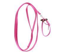 RASTKY Harnais Laisse Oiseaux Nylon AntiBite Corde Entraînement (Rosâtre)