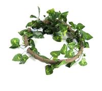 RASTKY Je suis Venu du Rotin de Reptile pour Animaux de Compagnie D'arbres, Je Ressens des Habitats Flexibles, la Décoration des 3,28 Pieds pour la Tortue, (Vinaigre + Feuilles de Lierre Verte)