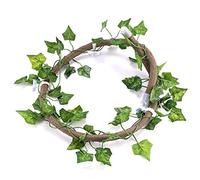 RASTKY Je suis Venu du Rotin de Reptile pour Animaux de Compagnie D'arbres, Je Ressens des Habitats Flexibles, la Décoration des 3,28 Pieds pour la Tortue, (Vinaigre + Feuille de Lierre)