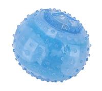 RASTKY Jouet de Dentition Durable pour Animaux de Compagnie, Caractéristiques de Refroidissement, Développe de Bonnes Habitudes de Mastication, Structure Alimentaire Qui Fuit, Matériau TPR, pour