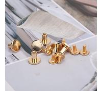 RASTKY Kit de 50 Rivets à Tête Plate Durables de 8 Mm pour Bracelet en Cuir, Rivets Métalliques Anticorrosion pour Décorer des Sacs/Ceintures, Or/Argent/Couleur Pistolet/Bronze (RASTKYctjfnzbwgp-12)