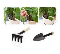RASTKY Kit D'outils de Jardinage Domestique, Manche en Bois, Mini Pelle D'excavation, Ensemble de Râteaux pour la Transplantation de Jardin en Métal + Bois, Jardinières 3 Pièces (Black)