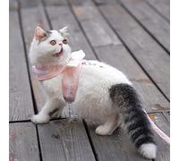 RASTKY Laisse de Harnais pour Chat Incassable avec Un Design Réglable et Un Joli Gilet en Forme d'ailes d'ange, Fournitures Légères et Douces pour Animaux de Compagnie pour Les Promenades (XXL