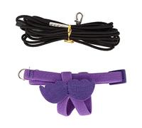 RASTKY LightBird Ensemble Harnais et Laisse Résistant aux Morsures avec Corde de Traction et Jolie Poignée à Ailes, Entraînement et Récréation en Plein Air Parfaits, Couleur Violette (Purple)