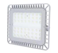 RASTKY Lumière Antidéflagrante LED 100W 5000K, Puissante, Brillante, Sûre, Coque en Aluminium, éclairage D'usine et D'entrepôt, 220V