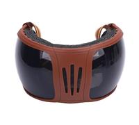 RASTKY Lunettes de Sport pour Chevaux, Lunettes de Soleil Coupe-vent élégantes pour L'équitation, Protection Solaire UV400 pour les Activités de Plein Air, Sangles Réglables pour un Ajustement (GRAY)