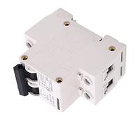 RASTKY Mini Disjoncteur AC DC, Extinction Rapide D'arc pour Système Solaire Photovoltaïque DZ47X 63, Idéal pour Système D'alimentation Marin