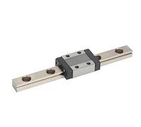 RASTKY Mini Rail de Guidage Linéaire MTN9, Roulement en Acier, Haute Précision, Performance Stable pour la Mise à Niveau Corexy, Pièce D'imprimante 3D (100mm)