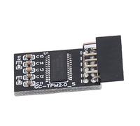 RASTKY Module TPM 2.0 Haute sécurité, Carte de sécurité de Cryptage LPC SPI 12 Broches, Large Combinaison pour Ventilateurs GIGA