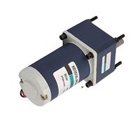 RASTKY Moteur à Engrenages DC 24 V à Vitesse Réglable avec Grand Couple de Transmission pour Machines D'emballage (Rapport de réduction 25,85RPM)