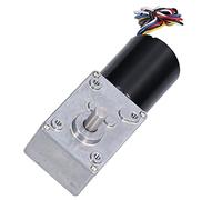 RASTKY Moteur à Engrenages sans Balais à Haute Torsion et à Faible Bruit pour Boîte de Vitesses électrique CW CCW 5840-3650 DC12V pour les Amateurs de Moteurs à Engrenages (20RPM)