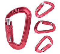 RASTKY Mousqueton D Lock 7075 en Aluminium Aérospatial, Boucle Pivotante 12KN avec Verrouillage Automatique, Boucle Grise en Forme de D pour la sécurité Extérieure, 1 à Anneau en (Rouge)