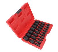 RASTKY Outil de Retrait de Vis Impérial, Serrage Fiable, Traitement de Pipeline, Ensemble de 25 Pièces, Extracteur de Vis à Tige Hexagonale (BLACK)