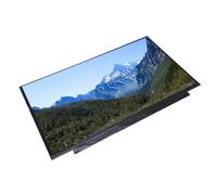RASTKY Panneau d'affichage 16,1" NE161QHM NY1 Écran LCD de Remplacement pour Ordinateur Portable 16,1" Non FHD 2560 X 1440 40 Broches 165 Hz Mat -B0005DX Écran de Remplacement -B0005DX