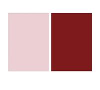 RASTKY Papier de Fond Morandi épais Double Face, Couleurs Vives, Papier couché Réutilisable et Durable pour Photos, 22,4 X 34,3 Pouces (Rose Clair Rouge foncé)