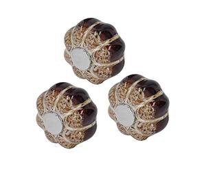 RASTKY Poignées de Tirage D'armoire Citrouille Classiques, Design Vintage Qui Ne Se Décolore Pas, 3 Pièces pour Tiroir de Placard, Acier Inoxydable en Céramique, 1,57 X 1,57 X,18 Pouces, (SILVER)