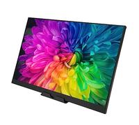 RASTKY Portable HD 16,0 Pouces 1920 X 1200 - Double compatibilité pour Ordinateur, Mobile, Console de Jeu PS