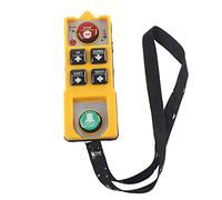 RASTKY Télécommande de Grue Robuste et étanche, Coque ABS, Contrôleur de Levage pour Pont Roulant, Monorails, 2 Clés, 3 épreuves (RASTKYm2ixyq809e-14)