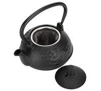 RASTKY Théière en Fer de Style Japonais, éLégante Conception de Double Dragon Chinois pour la Collection de Salon de thé, capacité de 0,3 L