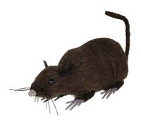 FIESTAS GUIRCA | Rat Marron de Décoration (15 cm) - Accessoire Réaliste pour Fêtes d'Halloween et Célébrations d'Animaux et Insectes - Idéal pour Ambiances Effrayantes et Scénarios Terrifiants