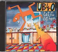 Rat In My Kitchen