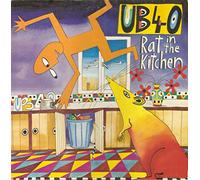 Rat in The Kitchen