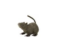 Rat poilu (21cm)