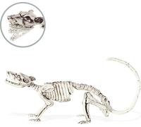 Rat squelette décoration Halloween blanc 16x23cm