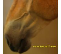 Rat Wakes Red - Acres