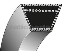 Ratioparts Courroie p.f. mtd 41/64 x 42