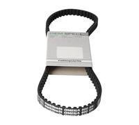 Ratioparts Courroie trapézoïdale Type 7-800-8M-12 pour Tondeuse autoportée Vert