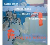 Ratko Zjaca – Touching Minds – Vinyle LP – Édition limitée audiophile (Edel)