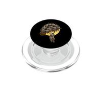 Raton Laveur empilé sur Un Balai de sorcière Volante PopSockets PopGrip pour MagSafe