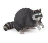 Raton laveur G