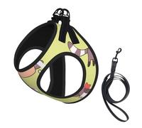 Raton Laveur Kawaii Mignon,Harnais pour Animaux de Compagnie, Harnais réfléchissant réglable pour Chien,S