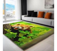 Raton Laveur Tapis 60x90 cm Animaux Mignons Moquette Antiderapant à Poils Courts Tapis 3D Lavable en Machine Convient aux EntréEs Couloirs et Portes d'Entrée b-865