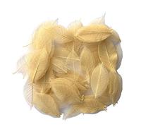 RATREE 888 Lot de 200 Petites Feuilles squelettes Naturelles de 5 à 8,9 cm pour Scrapbooking, Loisirs créatifs, Cartes de Mariage, Bouquets, Cadeau saisonnier