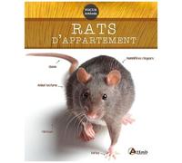 Artemis – Rats d'appartement