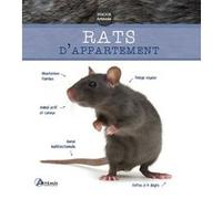 Rats d'appartement Collectif (Auteur)